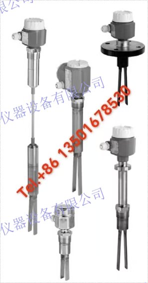 E+H恩德斯豪斯Endress+Hauser電子振動式 限位檢測 Soliphant FTM51-AGG2L4A12AA 堅固耐用的限位檢測開關，帶延伸管