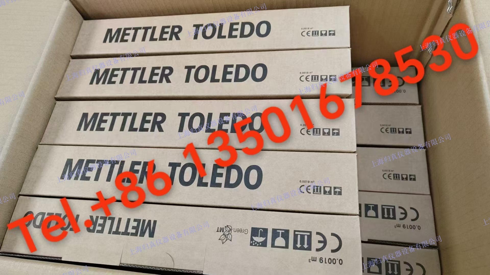 Mettler toledo梅特勒托利多THORNTON桑頓 52206406，用於M200的氧氣探頭，EASYSENSE O2 21感測(cè)器52 206 406
