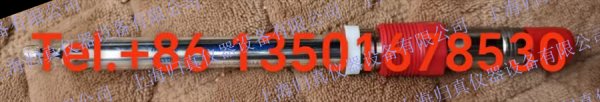 梅特勒托利多Mettler Toledo Replacement sodium electrode 2300i-NA-120-VP:52003944 鈉分析儀