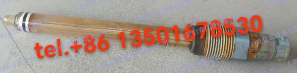 E+H 恩德斯豪斯Endress+Hauser數(shù)字式pH電極 Ceragel CPS71D:CPS71D-7TB21