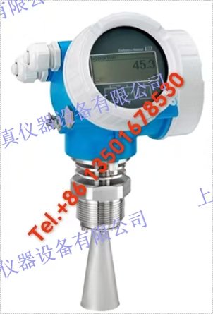 E+H 恩德斯豪斯 Endress+Hauser 雷達測量 行程時間原理 Micropilot FMR50-BAACAABMRGF+AE 適用於液位測量的基本型