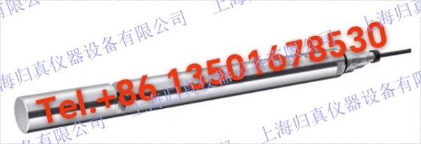 E+H 恩德斯豪斯Endress+Hauser Memosens Wave CAS80E全光譜感測器 UV-VIS光譜分析儀，適用於水和污水行業