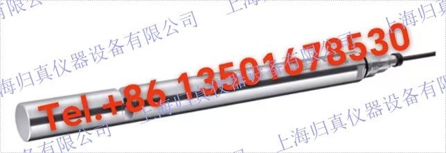 E+H 恩德斯豪斯Endress+Hauser Memosens Wave CAS80E全光譜感測器 UV-VIS光譜分析儀，適用於水和污水行業