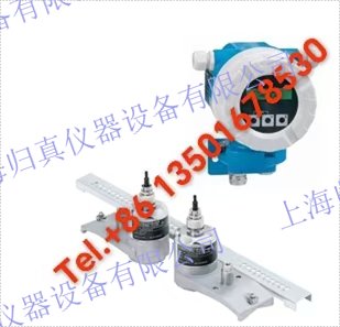 E+H 恩德斯豪斯Endress+Hauser Proline Prosonic Flow 91W 超聲波流量計:91WA1-RA2D32RKA4CA 