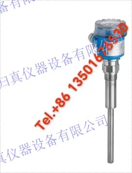 E+H 恩德斯豪斯Endress+Hauser 電子振動式-限位檢測-Soliphant FTM20-AN45A 用於固體散料的一體化音叉限位檢測開關