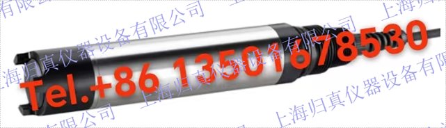 E+H 恩德斯豪斯Endress+Hauser 數(shù)字式溶解氧感測器 Oxymax COS61D Memosens螢光法溶解氧感測器，適用于水、污水和公用工程