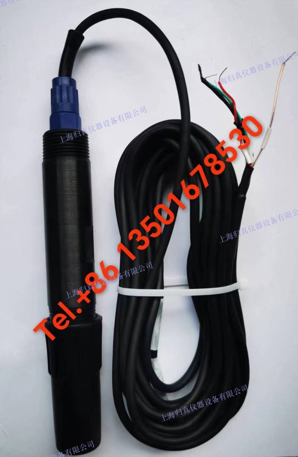 歸真儀器Acitek? 396 沉浸式/插入式 pH 傳感器（適合脫硫場合）