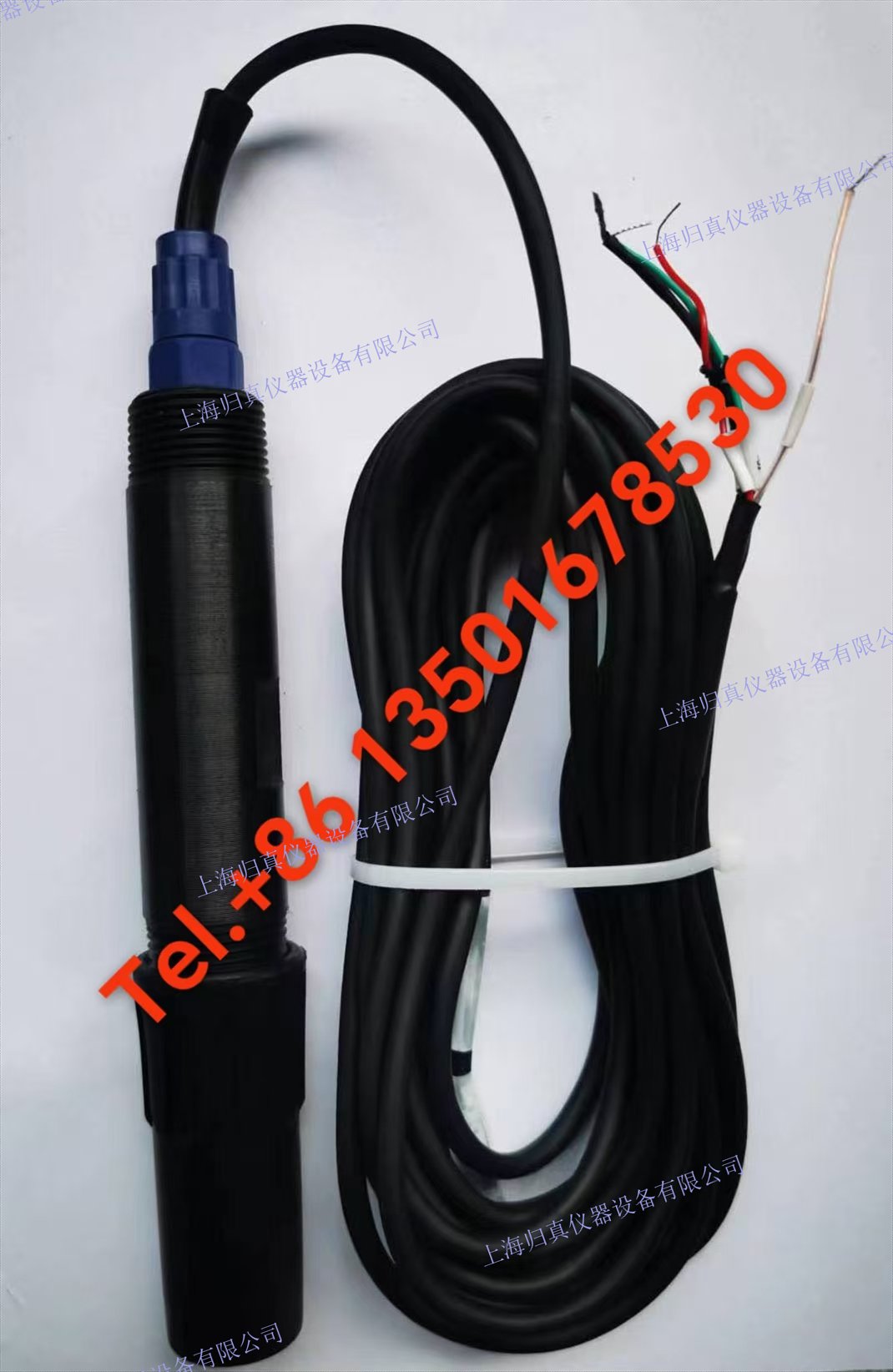 歸真儀器Acitek? 396 沉浸式/插入式 pH 傳感器（適合脫硫場合）