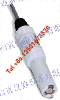 艾默生EMERSON羅斯蒙特Rosemount? 499AOZ 溶解臭氧感測(cè)器