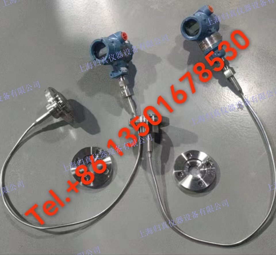 艾默生EMERSON羅斯蒙特Rosemount? 3051 直連式壓力變送器:3051TG3A2B21AB4E5M5QTHR5加裝2米毛細管鉭膜片DN50法蘭 