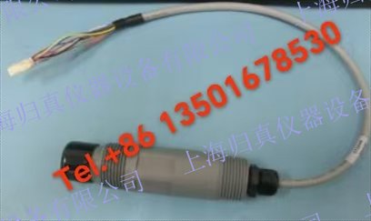 奧立龍/Orion濁度探頭，TDWSS88 濁度探頭/2106EL/TDWSS88 2106EL濁度儀和AquaClear低量程濁度儀配件： AV38控制器