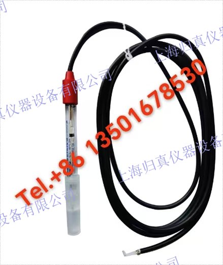 METTLER TOLEDO 梅特勒-托利多 氧化還原電極REDOX:Pt4805-60-P-PA-K19/120/3M 精度來源.複合ORP 電極，鉑金環(huán)