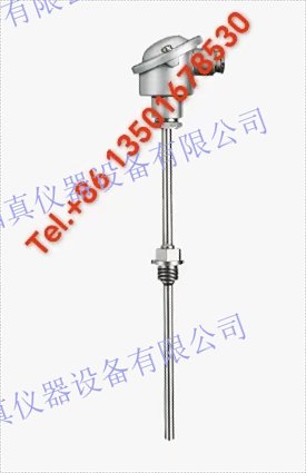 RTD溫度探頭用於工藝技術，獲得Ex認證JUMO 工藝臨時902820/10； Platinum resistance thermocouple Jumo