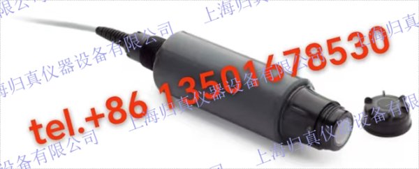 Hach雜湊 LDO SC 型號2，DO探頭，採用發光溶解氧技術 產品編號：9020000SLU