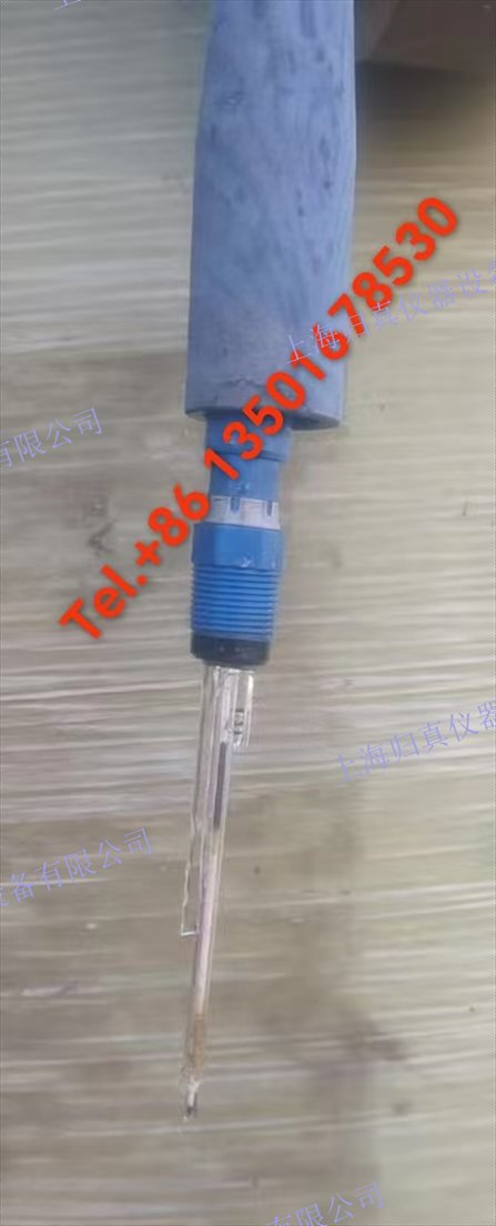 E+H恩德斯豪斯Endress+Hauser 數字式pH電極 Orbisint CPS11D-7FA21