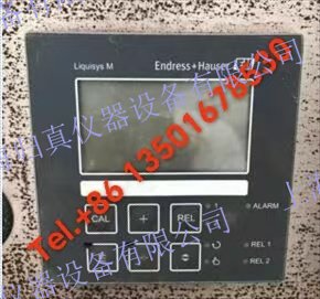 E+H恩德斯豪斯 Endress+Hauser pH/ORP變送器 Liquisys CPM223:CPM223-MR0005 適用於所有工業領域的一體化盤裝變