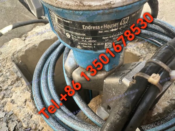 E+H恩德斯豪斯Endress+Hauser 靜壓式液位測量Deltapilot FMB53-3H01/0 FMB53-AA21JA1HGD15B2A+AK