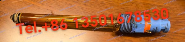 E+H 恩德斯豪斯Endress+Hauser 數字式ORP電極 Memosens CPS12E-AA7PAA2 Memosens 2.0 ORP電極