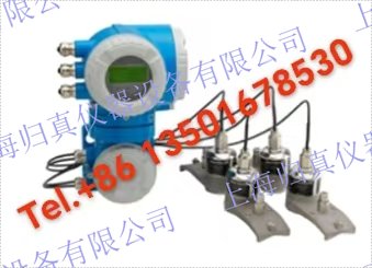 E+H 恩德斯豪斯Endress+Hauser Proline Prosonic Flow P 500捆綁式超聲流量計(jì) 可靠、靈活、免維護(hù) —— 非侵入式安裝方