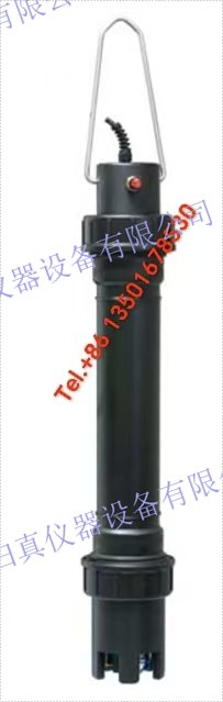 E+H恩德斯豪斯Endress+Hauser數字氨氮和硝氮測量感測器 ISEmax CAS40D-AA1A1A2 用於污水處理行業的Memosens離子選擇感測