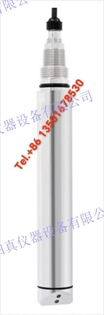 E+H恩德斯豪斯 Endress+Hauser 濁度感測器 Turbimax CUS52D-1014/0; 衛(wèi)生型Memosens感測器，用於飲用水、過程水