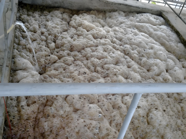 江苏污水处理消泡剂厂家价格,消泡剂