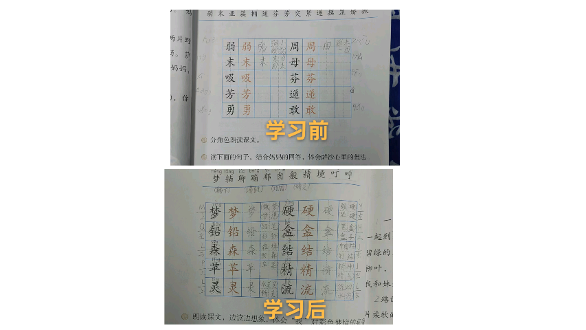 四川正版授權趙汝飛練字體驗課