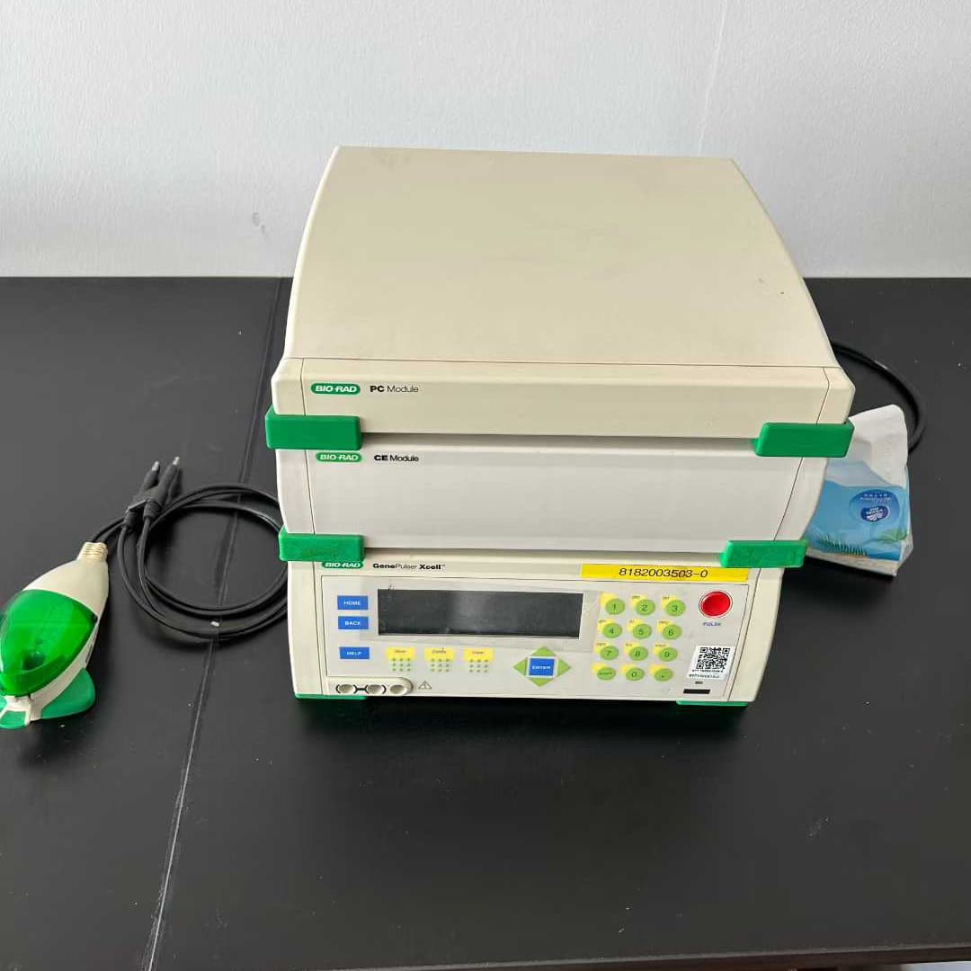 伯乐 BioRad 2652660 电穿孔仪