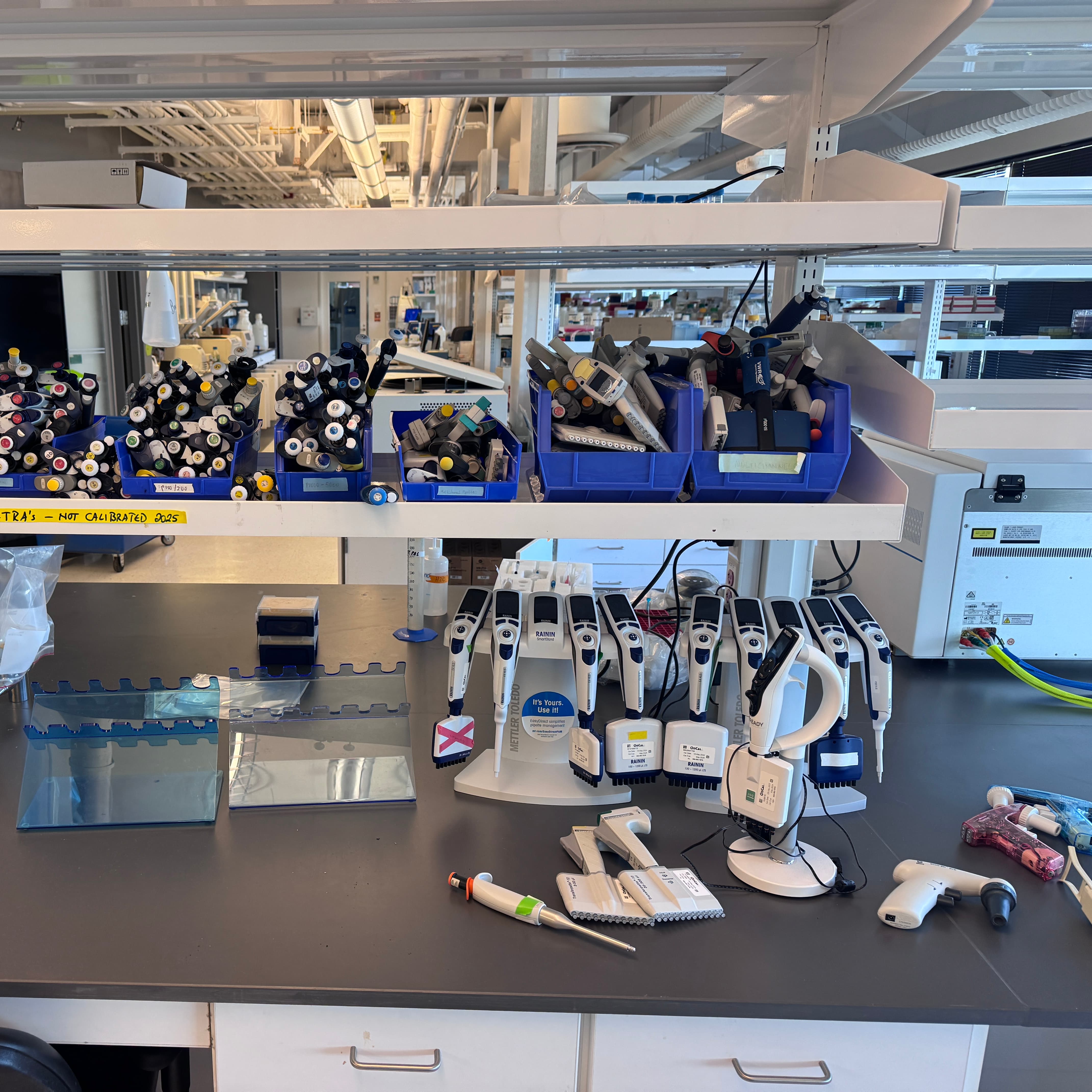 Pipettes and pipette tips: key tools and core applications in ...