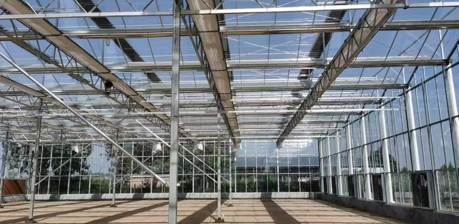 泉州大棚價格 歡迎來電 厚本溫室供應