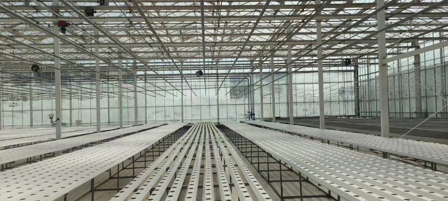 徐州專業大棚廠家 歡迎來電 厚本溫室供應