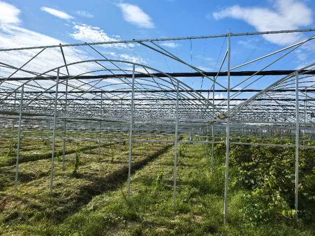 廈門玻璃溫室生產廠家 歡迎來電 厚本溫室供應