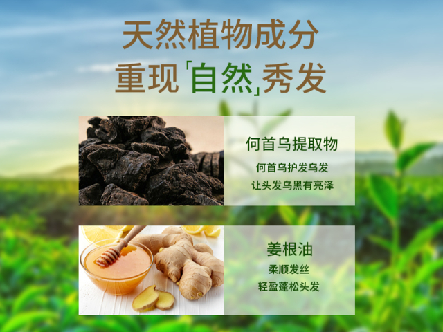 上海白轉(zhuǎn)黑染發(fā)膏工廠 廣州市彩媛化妝品科技供應(yīng);