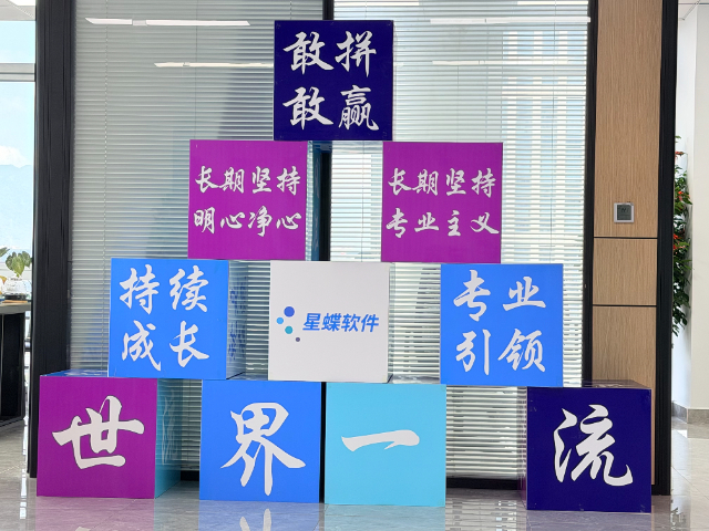 天津本地金蝶云星空優勢