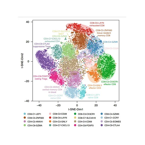 10× Genomics 单细胞转录组测序