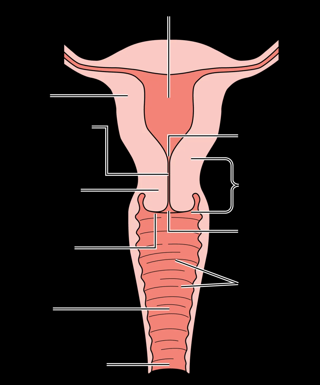 女性话题二:生殖系统其他部位菌群_上海慕柏生物医学科技有限公司