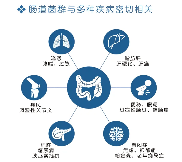 香港六宝典免费