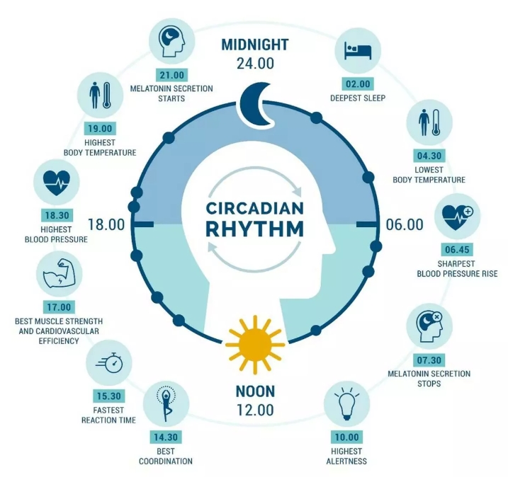 節(jié)律照明-黑視素通量、M/P比率、黑視素等效日光效率（Mel、M/P、MDER）