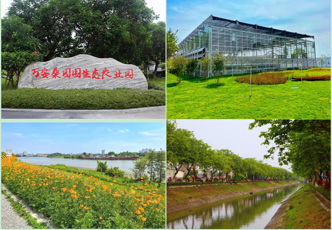 廣東環(huán)衛(wèi)保潔工程的選擇注意事項