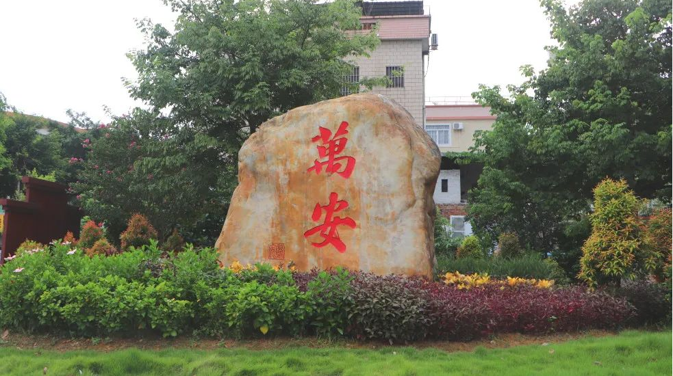 龍江鎮(zhèn)萬安村環(huán)境衛(wèi)生清潔管理項目