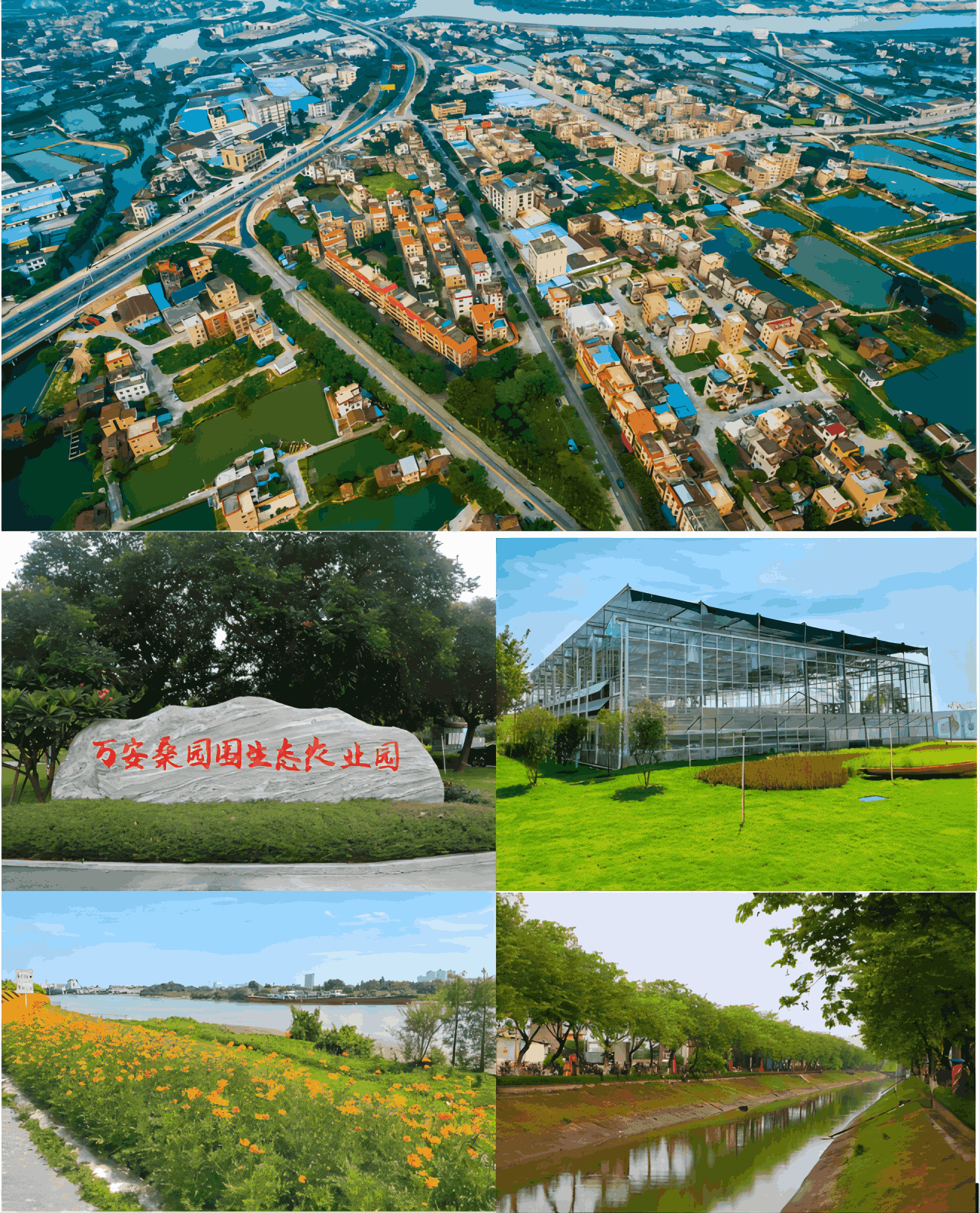 廣東綠然環(huán)境管理有限公司：專業(yè)河涌保潔，守護(hù)城市清流