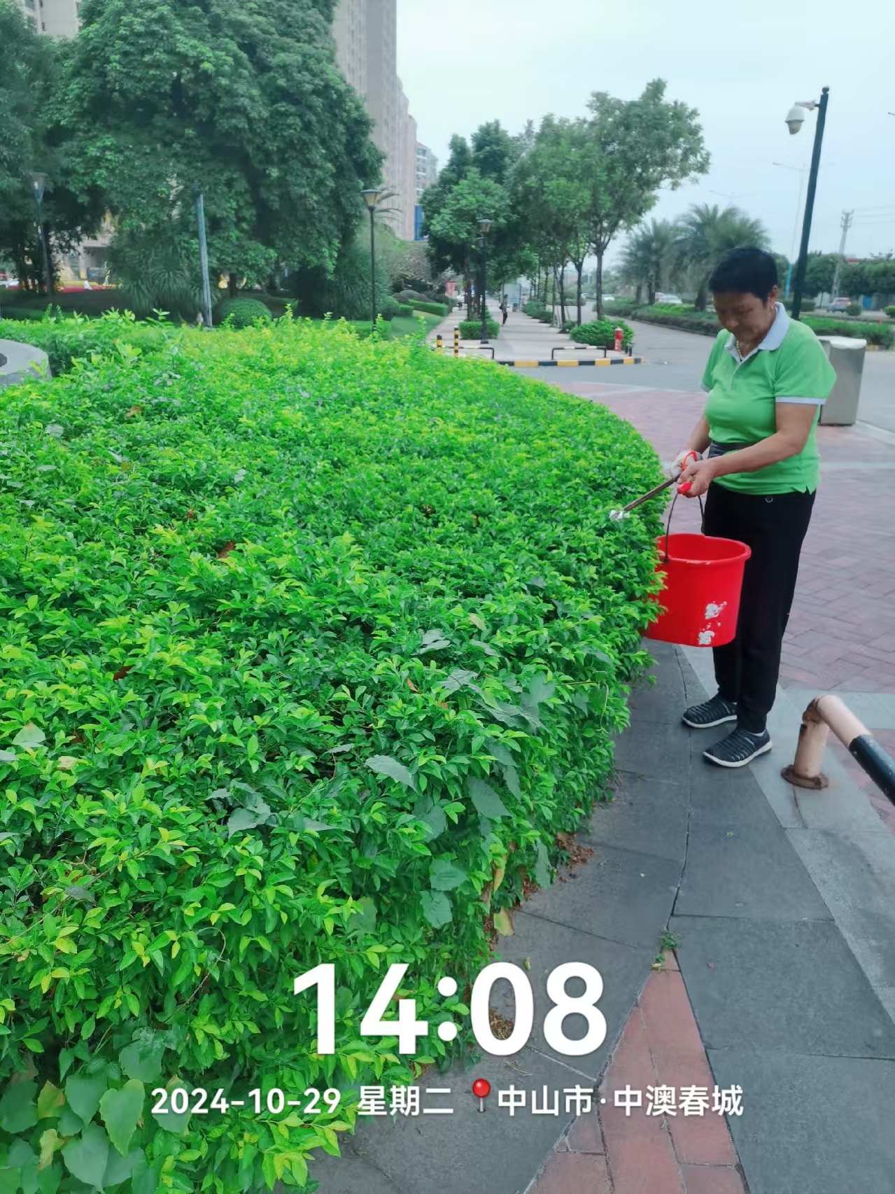 環境園林工程 環境園林工程