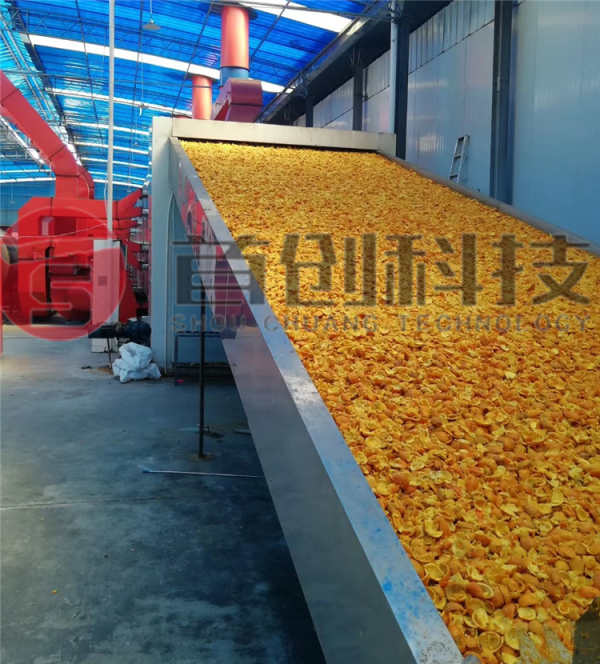 陳皮烘干設(shè)備-大型陳皮干燥設(shè)備-多功能陳皮干燥機(jī)