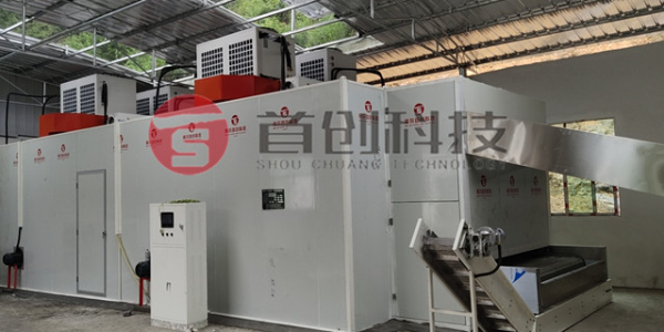 佛手烘干設備-大型佛手烘干機-連續(xù)式佛手干燥機械