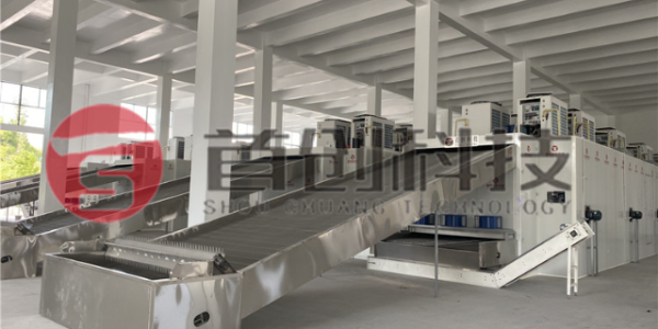 佛手烘干設備-大型佛手烘干機-連續(xù)式佛手干燥機械