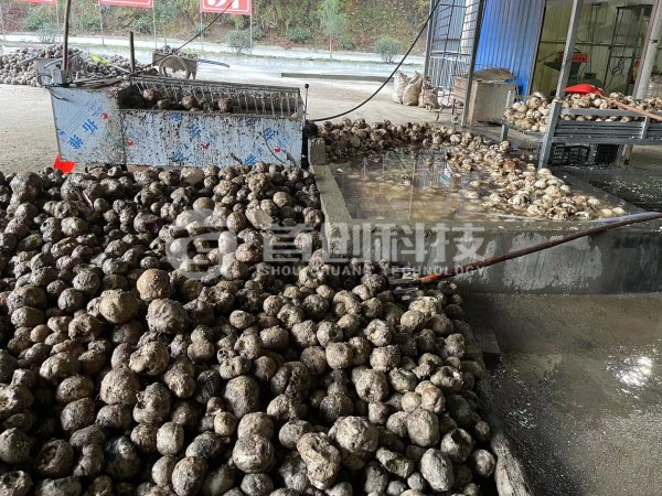 白魔芋烘干設(shè)備廠家_鮮魔芋烘干機_連續(xù)式魔芋烘干設(shè)備
