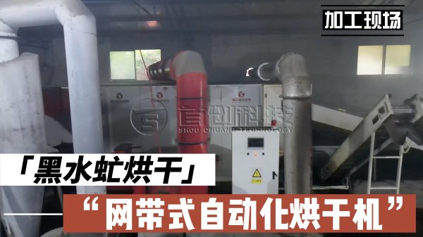 黃粉蟲烘干設(shè)備-大型黃粉蟲干燥機-黃粉蟲自動烘干機