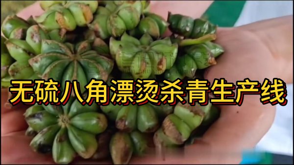 八角定制烘干設(shè)備-大型八角干燥機(jī)-連續(xù)式八角烘干機(jī)