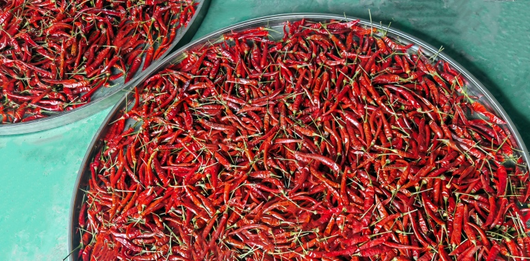 艷椒為何這樣“艷”，進(jìn)來(lái)看實(shí)拍！