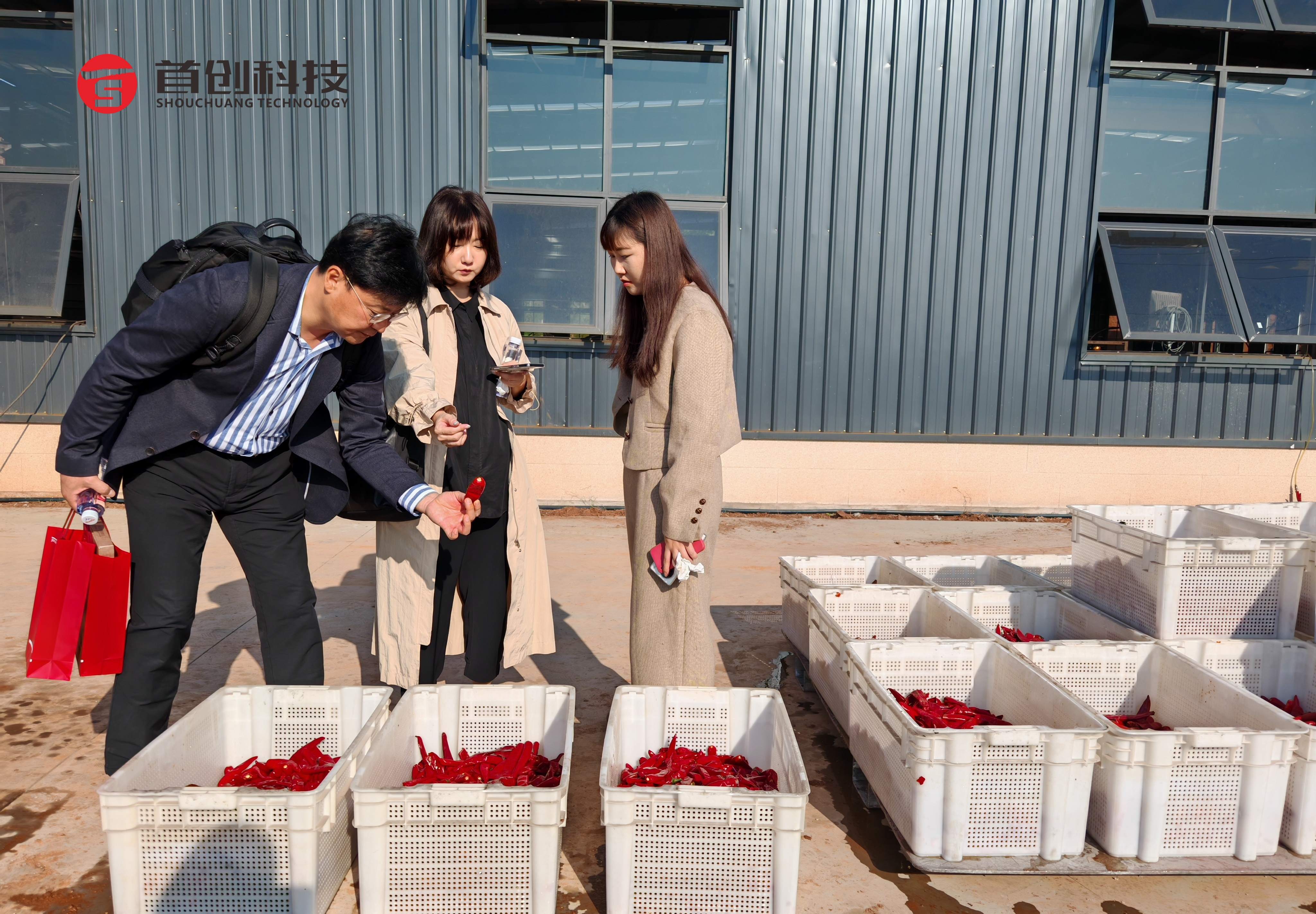 國(guó)外客戶(hù)辣椒樣品到廠(chǎng)進(jìn)行烘干實(shí)驗(yàn)